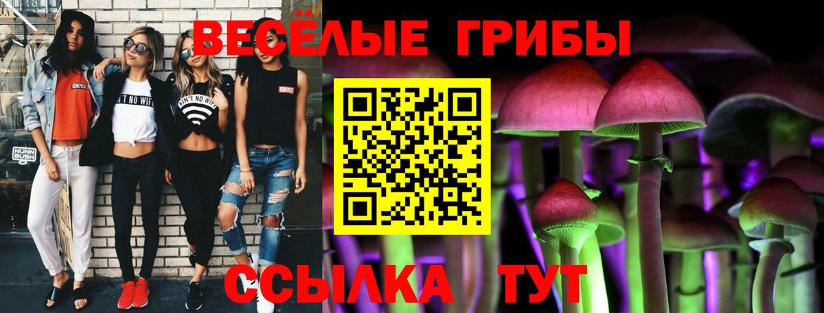 Псилоцибиновые грибы Psilocybine cubensis  Вход с VPN  Новоуральск 